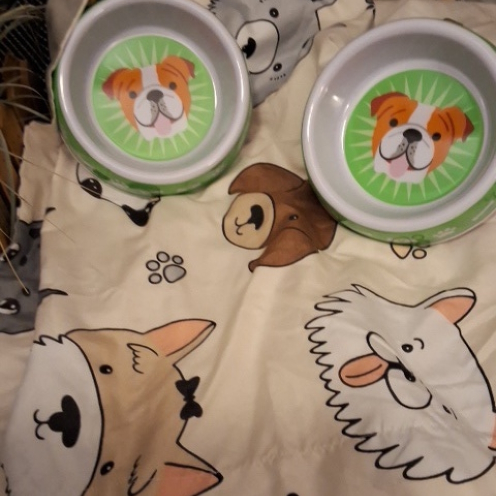 🐕Set of 2 🐕 puppy bowls